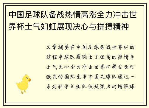中国足球队备战热情高涨全力冲击世界杯士气如虹展现决心与拼搏精神